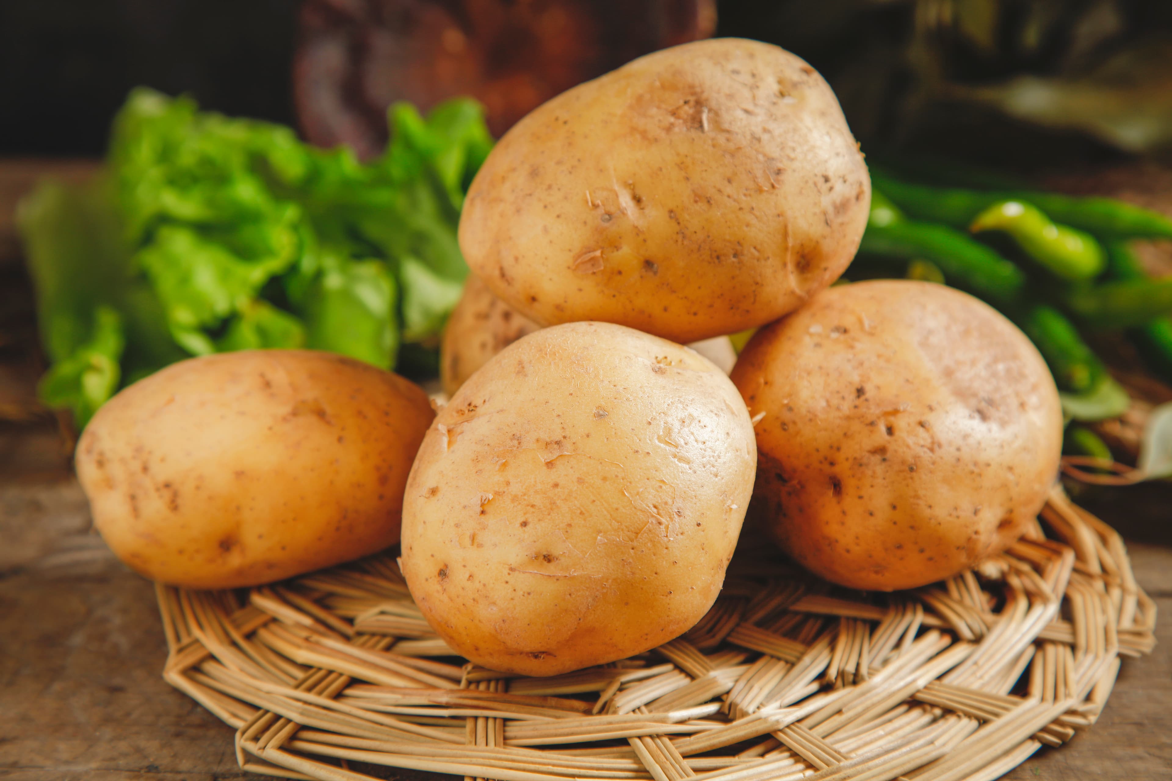 Potato (Solanum tuberosum) extract (standardized extract) for B2B manufacturing