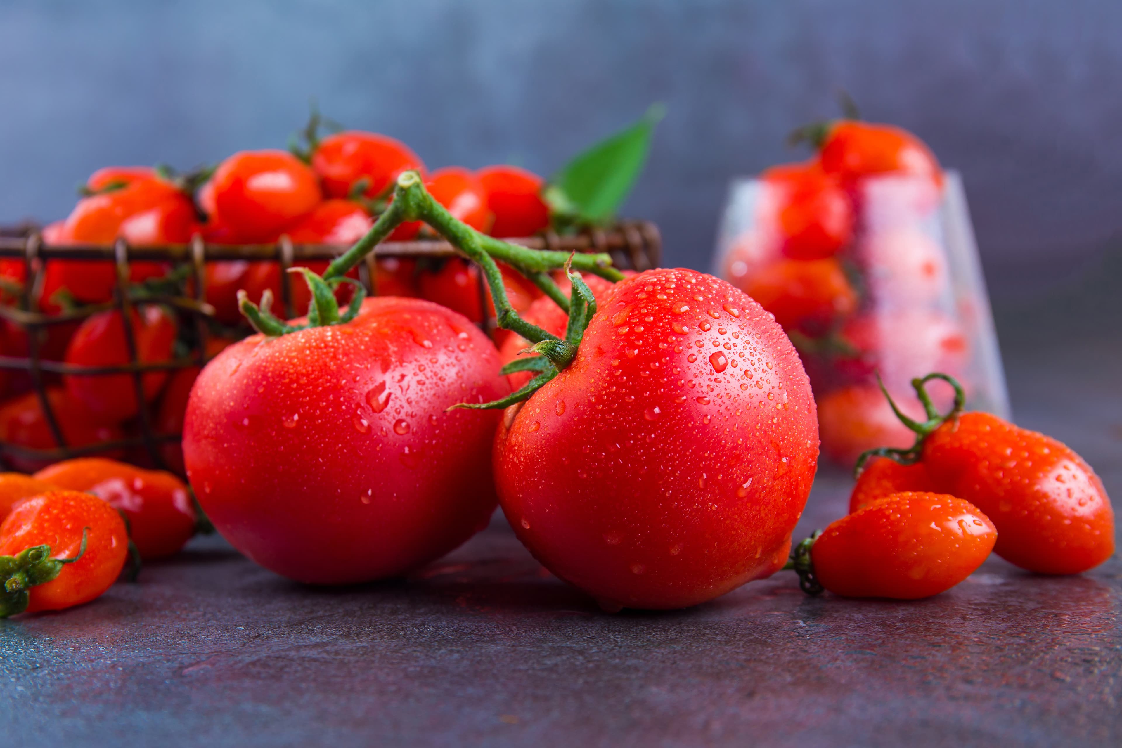 Tomato Powder (Solanum lycopersicum L.) extract (standardized to Lycopene, Tomato Polyphenols, Vitamin C, Vitamin E, Dietary Fiber) for B2B manufacturing