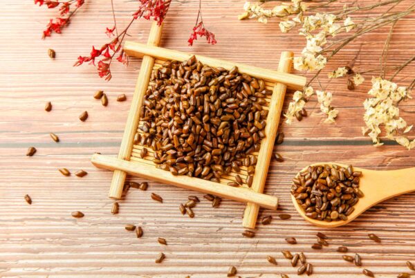 Cassia Seed Extract