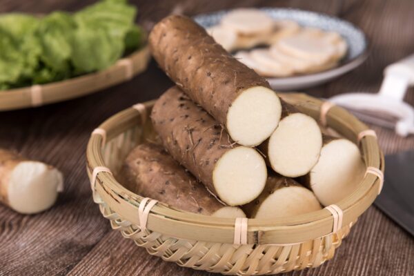 Wild Yam Extract