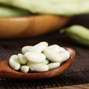 White Kidney Bean Extract