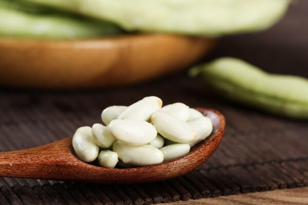 White Kidney Bean Extract