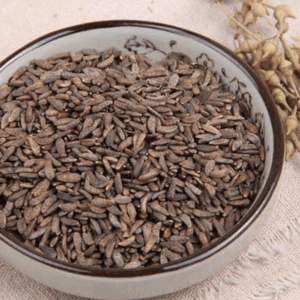 Arctium lappa Extract