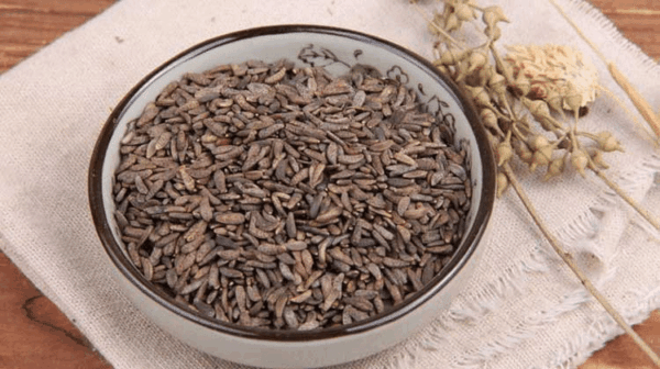 Arctium lappa Extract