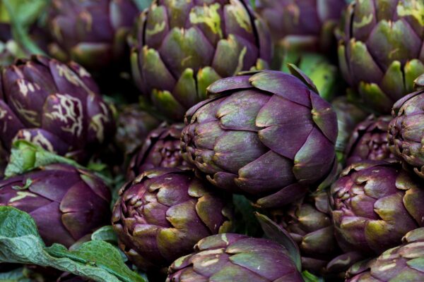 Artichoke Extract
