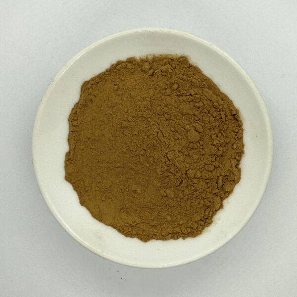 Angelica Extract - 图片 2