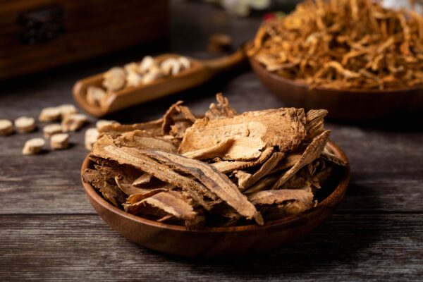 Angelica Extract