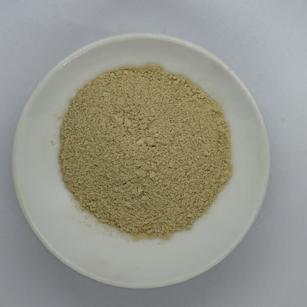 Celery Extract - 图片 2